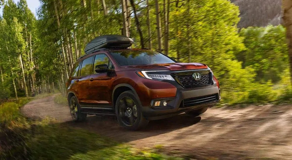 A red 2020 Honda Passport AWD Elite from a local Honda Dealer is driving on a woodland trail near Newnan, GA.