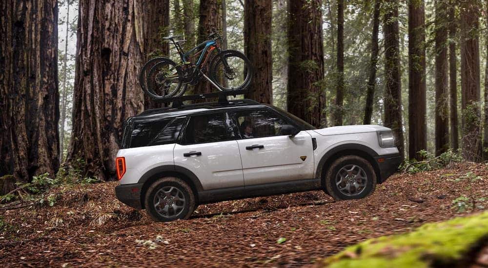 Ford’s Best Compact SUV – Bronco Sport or Escape?
