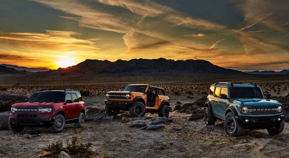 Same Breed, Different SUVs: The 2021 Ford Bronco and Bronco Sport