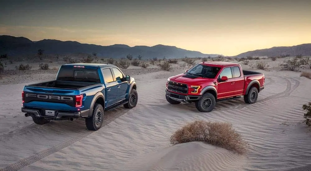 A blue and a red 2019 used Ford F-150 Raptor are parked in the sand dunes.