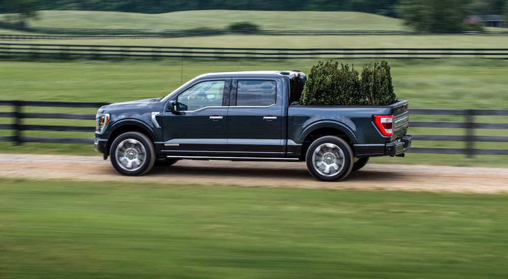 A blue 2021 Ford F-150 Hybrid is shown from the side in front of a field with trees in the bed.