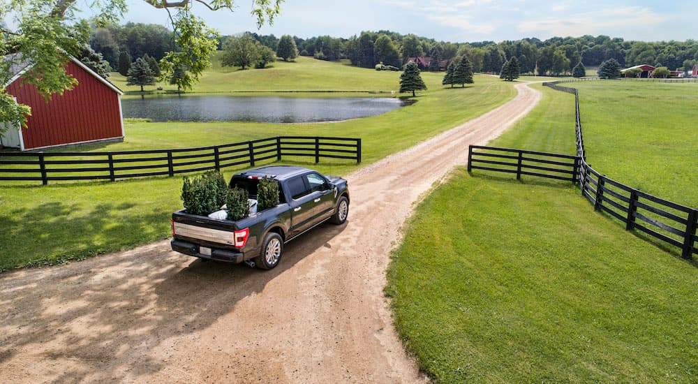 A blue 2021 Ford F-150 Hybrid with trees in the bed is pulling onto a farm with a pond and green grass.