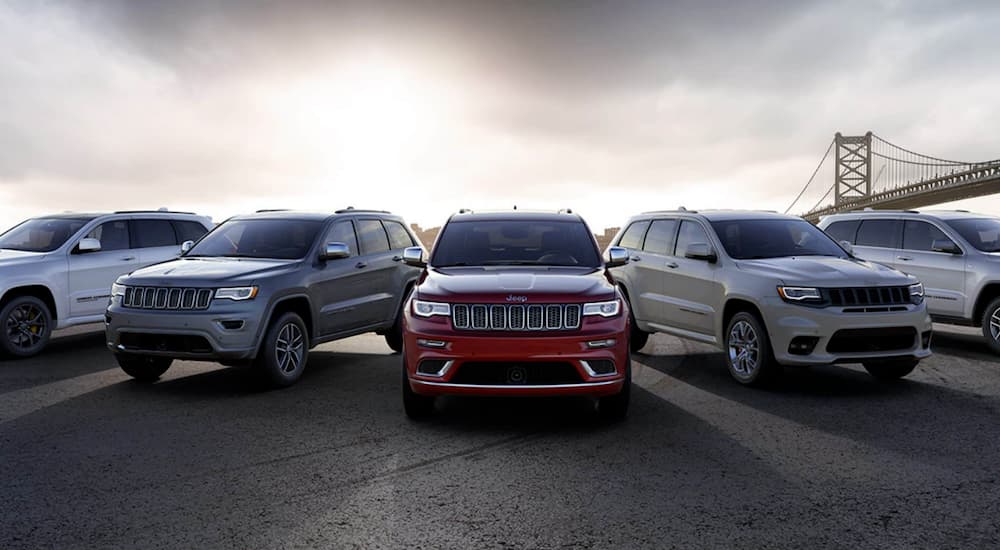 Five 2021 Jeep Grand Cherokee trims are parked in front of a city bridge.