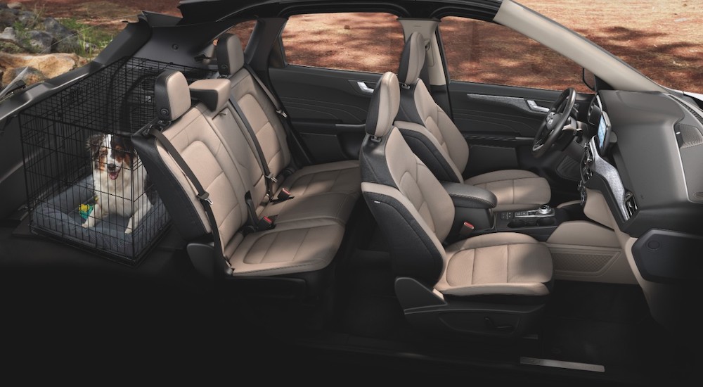 The two-tone interior and rows of seats in a 2021 Ford Escape are shown from the side.