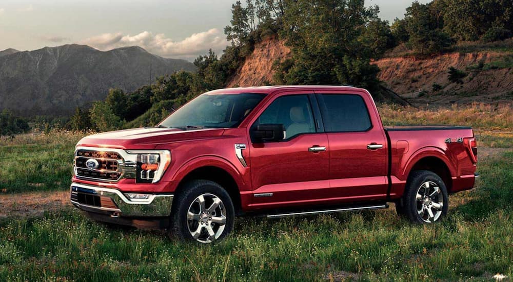 A red 2021 Ford F-150 is parked in a field with distant mountains.