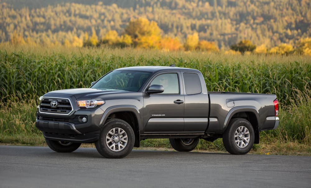 A grey 2017 Toyota Tacoma from a used Toyota dealer is parked in front of a tall hay field.