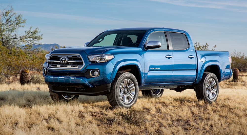 A popular used truck for sale, a blue 2015 Toyota Tacoma, is parked on yellow grass.