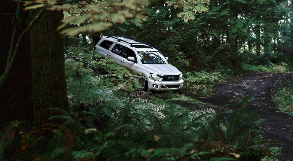 A white 2021 Toyota Sequoia is shown driving in the woods.