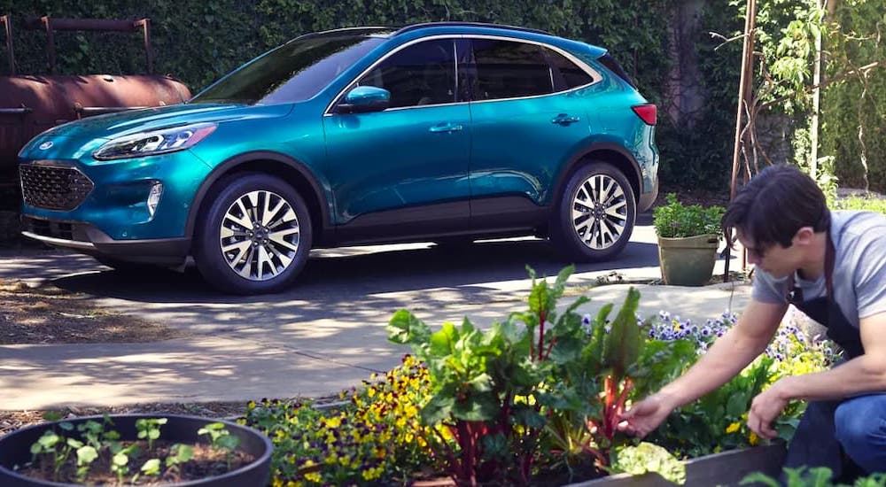 A blue 2021 Ford Escape is shown from the side next to a man looking at plants.