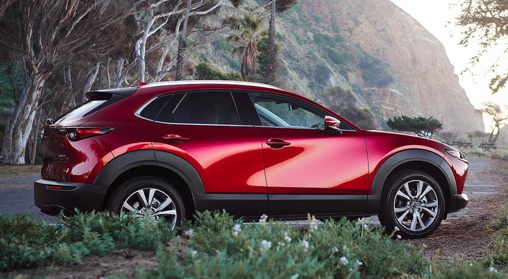 A popular car on any car buying guide, a red 2021 Mazda CX-30 is parked in front of trees and a mountain.