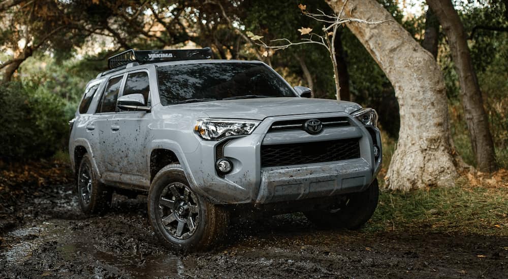 A white 2021 Toyota 4Runner is off-roading through the woods.