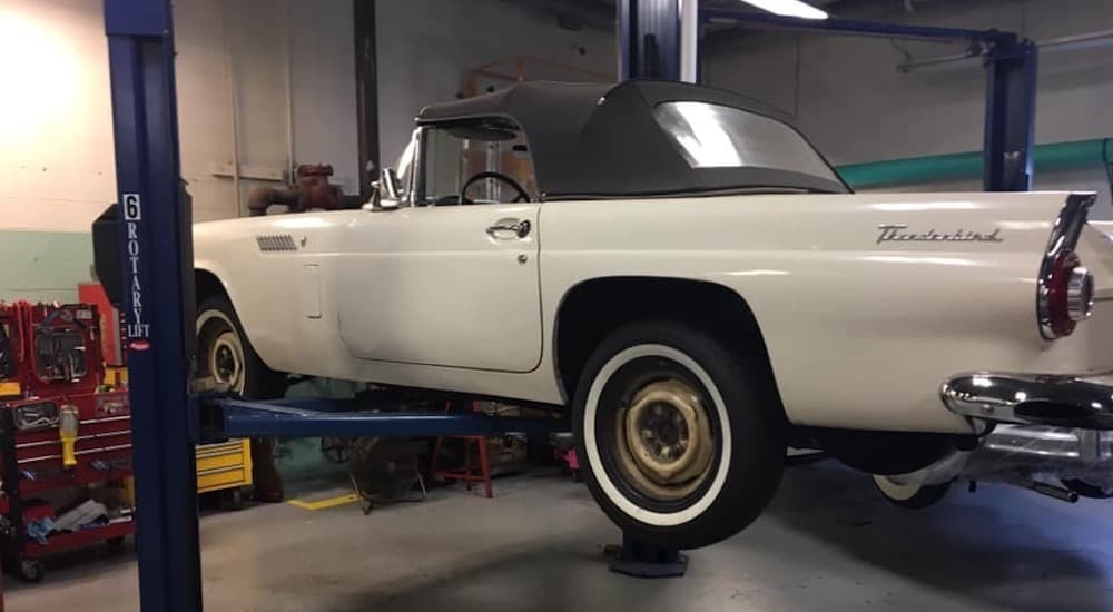 A white 1956 Ford Thunderbird is shown on a 2 post lift.