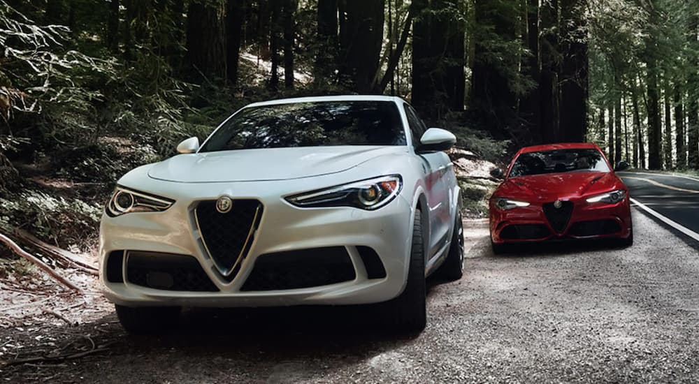 A red and white 2020 Alfa Romeo Stelvio are shown parked on the side of a tree lined road.