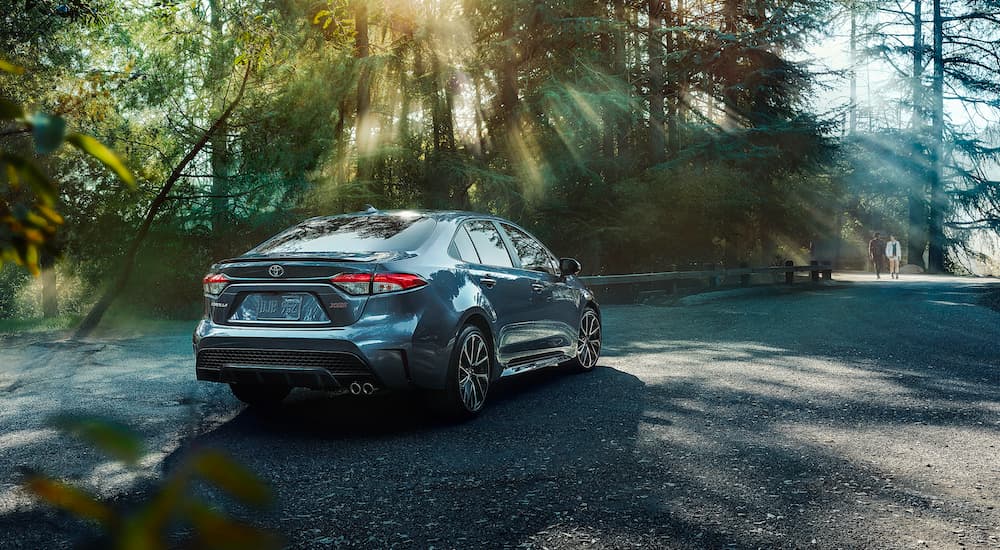 A popular used Toyota for sale, a blue 2020 Toyota Corolla, is shown from the rear parked on a path in the woods.