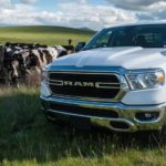 A white 2021 Ram 1500 is shown parked in a field next to cows.