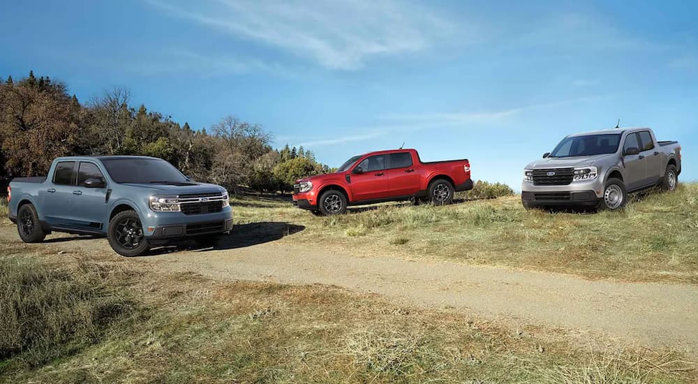 A blue, red and grey 2022 Ford Maverick are shown parked in a field under a blue sky.