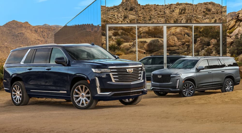 A blue and a grey 2021 Cadillac Escalade are shown parked in front of a modern house in the desert.
