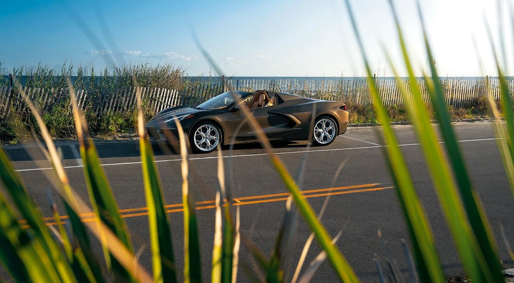A brown 2021 Chevy Corvette is shown from the side parked on a costal road through tall grass.
