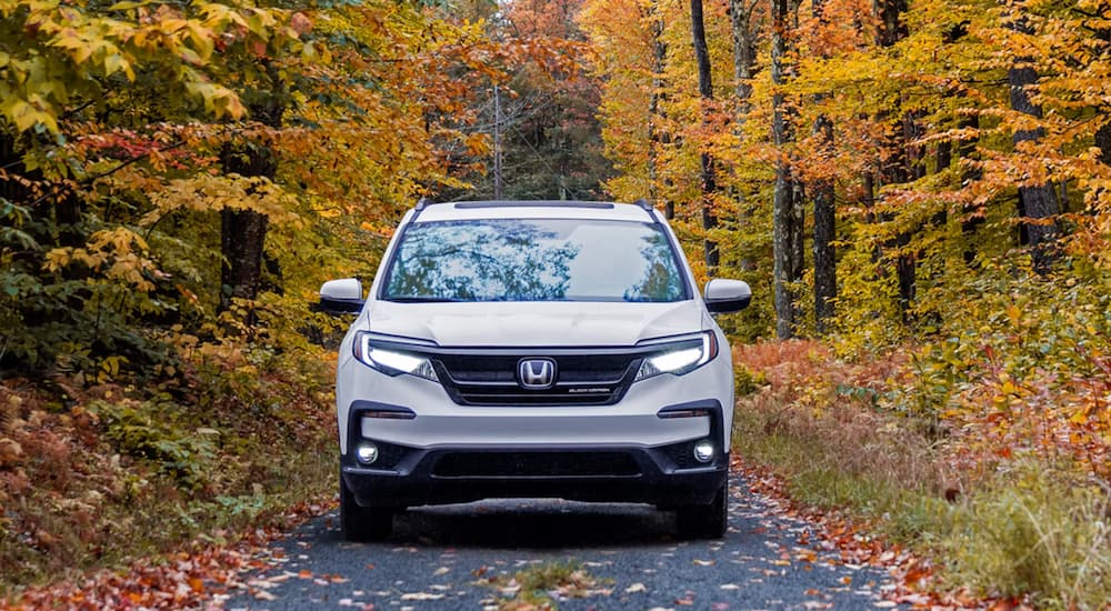 A white 2022 Honda Pilot Black Edition is shown from the front driving down a forest road.