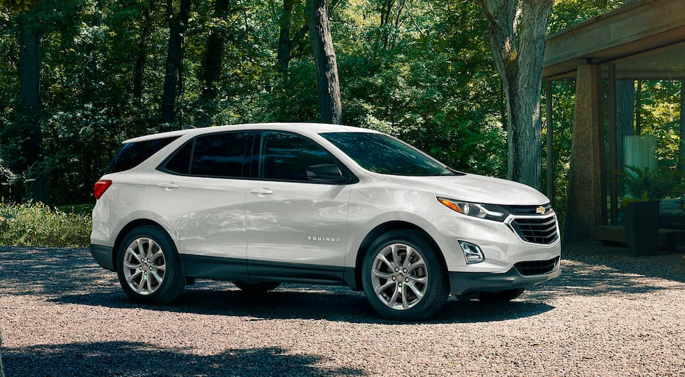 A white 2019 Chevy Equinox is shown parked on a wooded road.