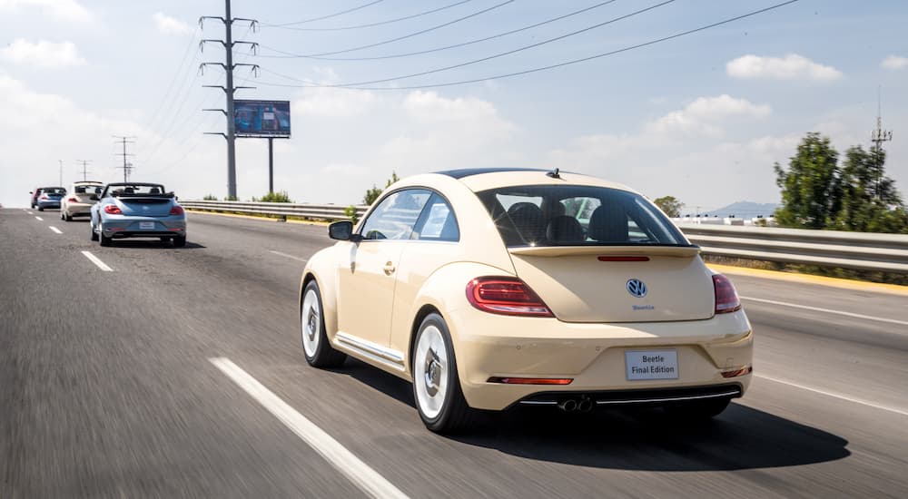 Four 2019 Volkswagen Beetles are shown from the rear driving on a highway.