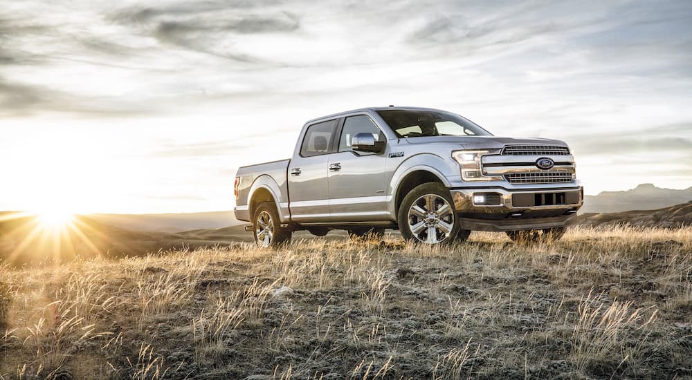 A silver 2018 Ford F-150 is shown from the side parked in a grassy field.