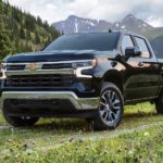 A black 2022 Chevy Silverado 1500 is shown parked in a green grassy field.