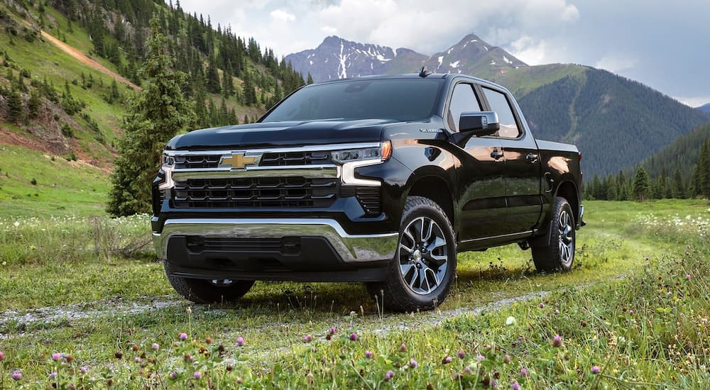 A black 2022 Chevy Silverado 1500 is shown parked in a green grassy field.