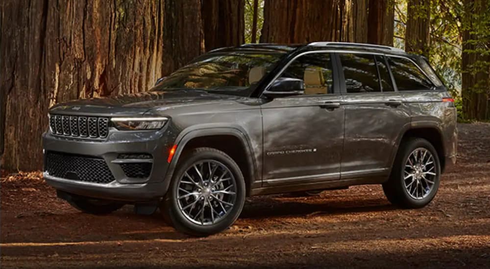 A grey 2022 Jeep Grand Cherokee is shown parked on a forest trail.