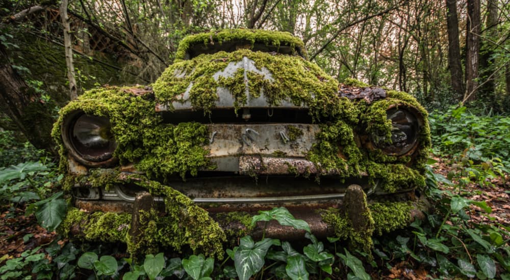 An abandoned car is shown covered in moss in the woods.