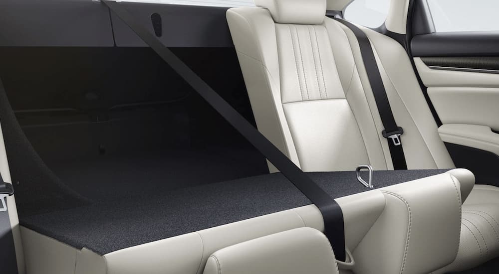 The white interior of a 2022 Honda Accord Hybrid Hybrid SE shows the back seat.