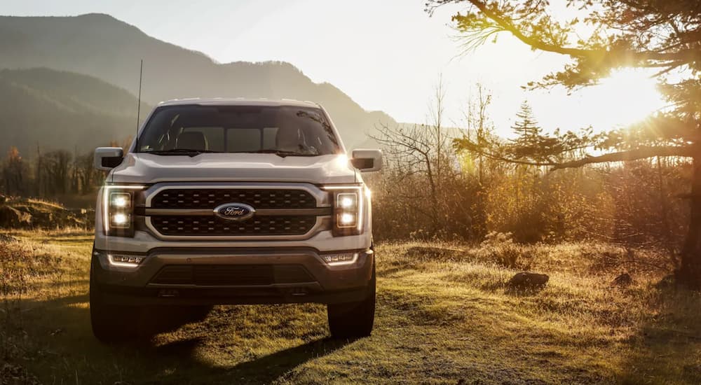 A white 2022 Ford F-150 is shown from the front parked in a field.