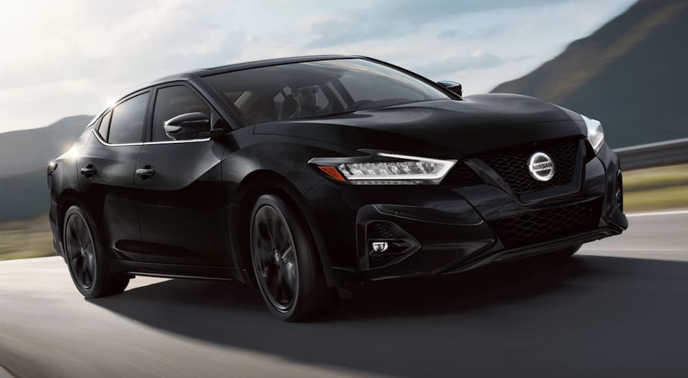 A black 2022 Nissan Maxima is shown from the front driving on an open road.