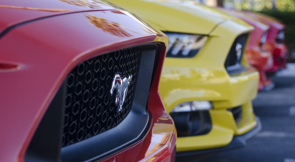 A close up shows a row of 2017 Ford Mustangs at a Certified Pre-Owned Ford dealership.