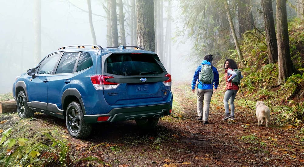 A blue 2022 Subaru Forester Wilderness is shown from the rear parked next to people hiking.