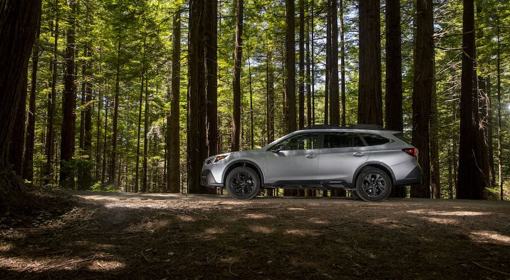 A silver 2022 Subaru Outback Onyx Edition is shown from the side parked in the woods.