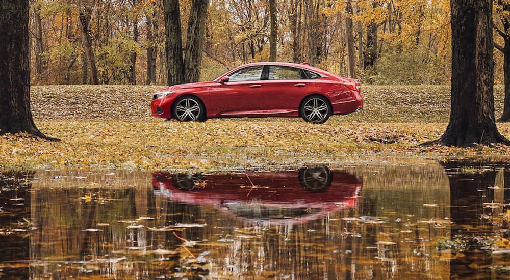 A red 2022 Honda Accord Hybrid is shown from the side parked next to a lake.