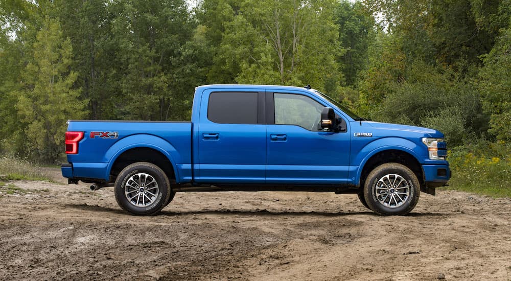 A blue 2019 Ford F-150 is shown from the side parked in front of a forest.