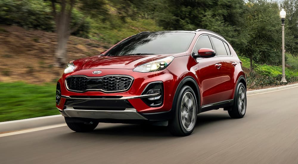 A red 2022 Kia Sportage is shown from the front at an angle.