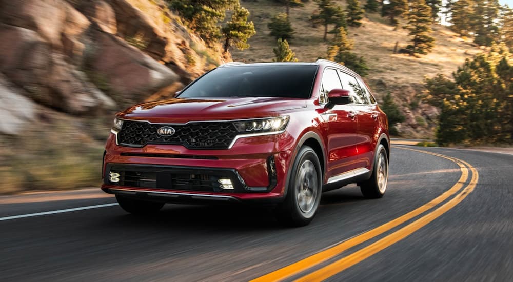 A red 2022 Kia Sorento is shown from the front at an angle on a winding road.