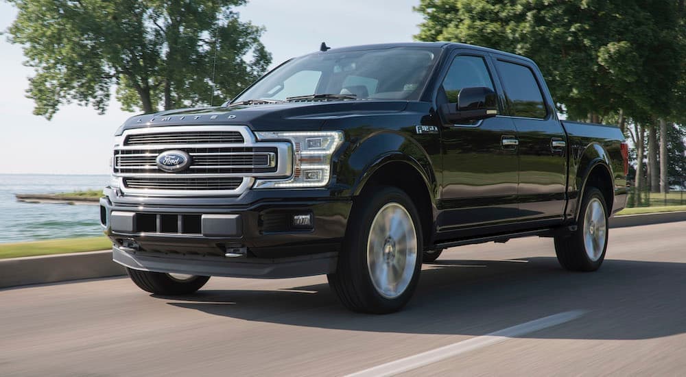 A black 2019 Ford F-150 Limited is shown from the front driving on an open road.