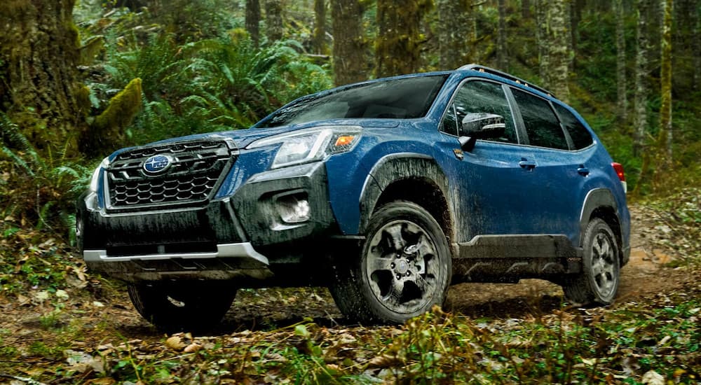 A blue 2022 Subaru Forester Wilderness is shown on a woodsy trail.