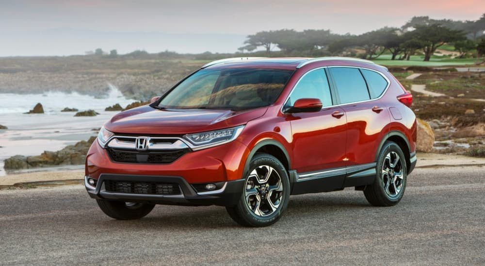 A popular used SUV for sale, a red 2019 Honda CR-V is shown from the side parked in front of a body of water.