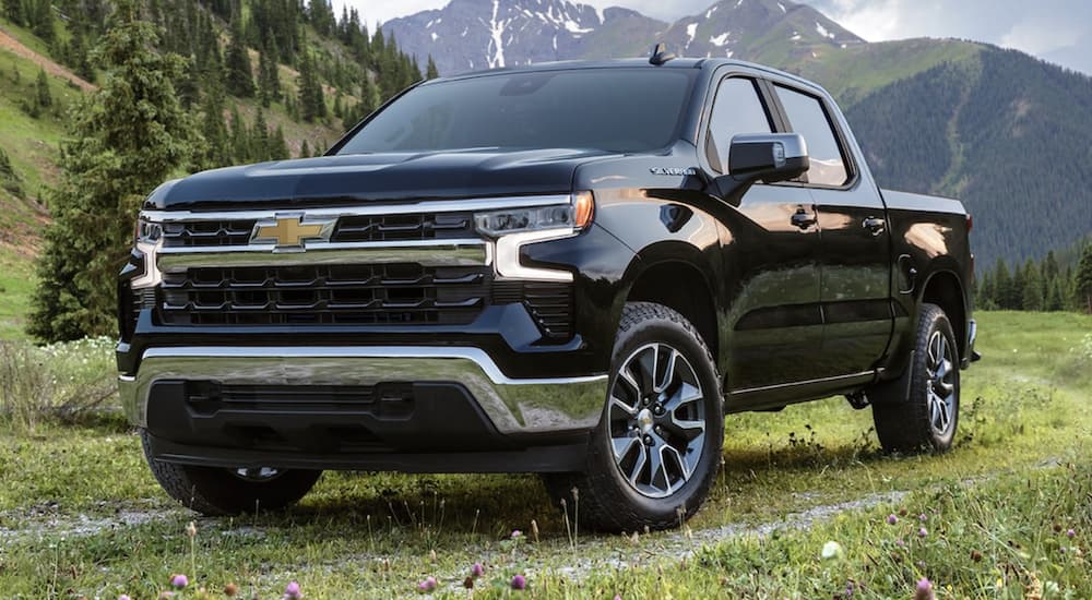 A black 2022 Chevy Silverado 1500 is shown parked in a field.