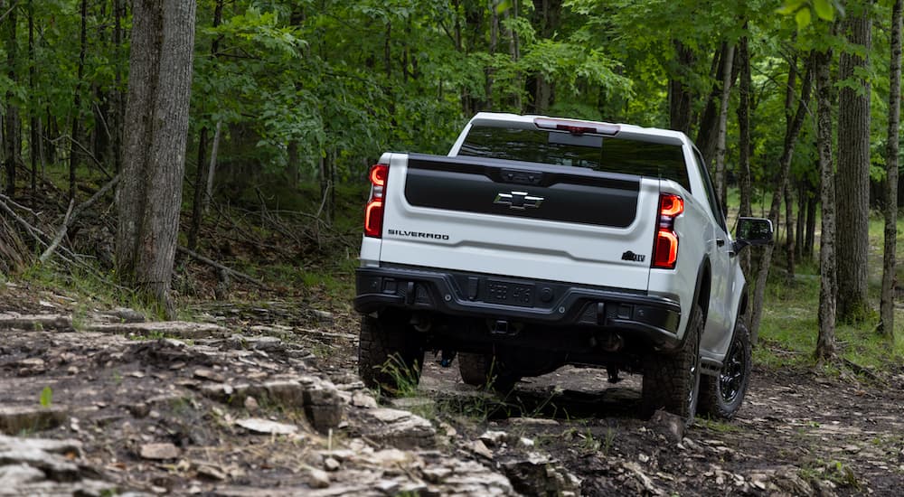 A white 2023 Chevy Silverado 1500 ZR2 Bison is shown from the rear while driving through the forest.