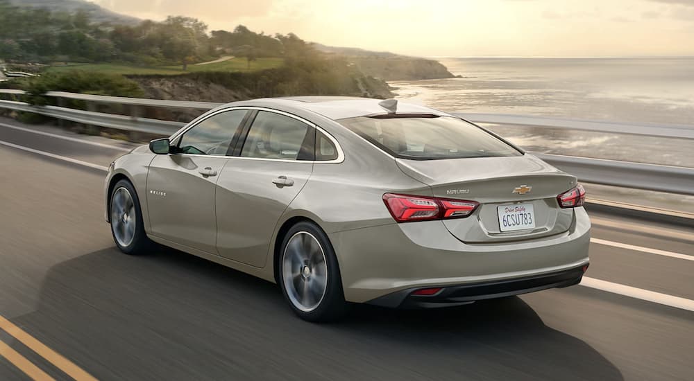 A popular Chevy Malibu for sale, a grey 2023 Chevy Malibu, is shown from the rear driving past a body of water.