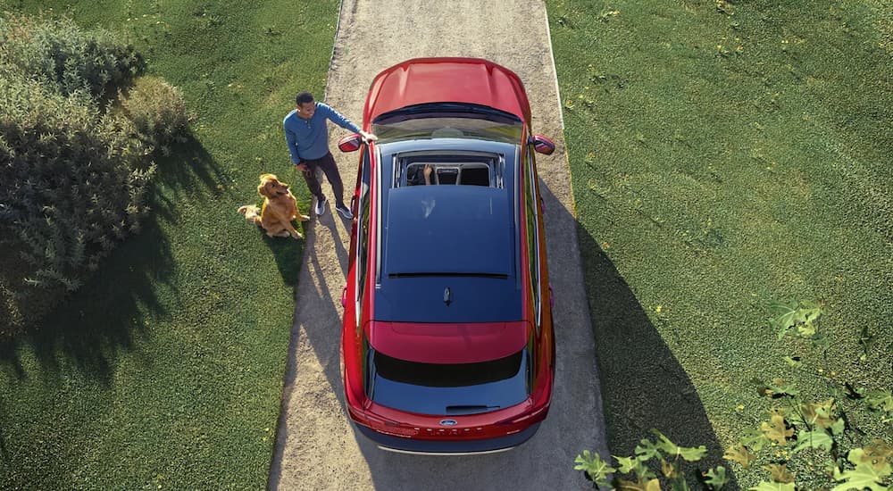 A top view of a person is shown standing next to a red 2023 Ford Escape.