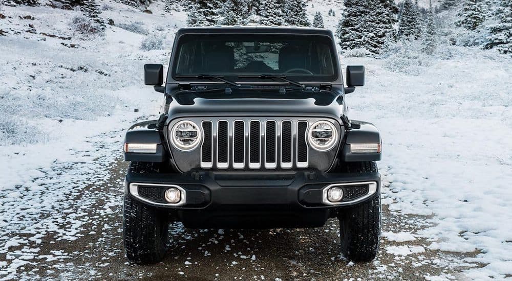 A black 2021 Jeep Wrangler is shown from the front on a snowy path.