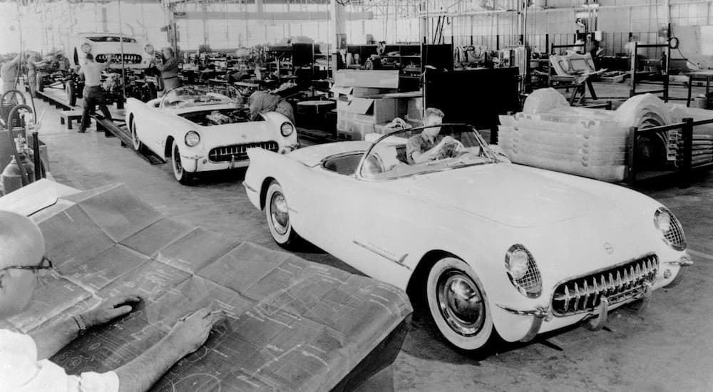 A row of white 1953 Chevy Corvettes are shown.