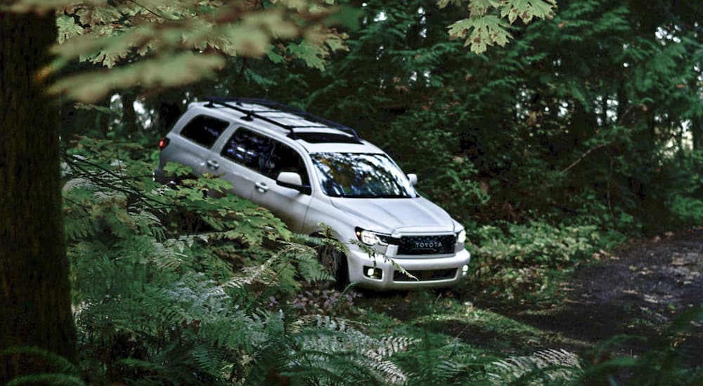 A white 2020 Toyota Sequoia is shown from the front at an angle.